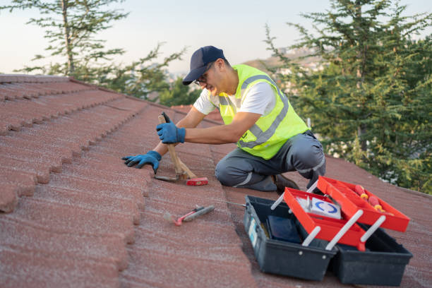Best Storm Damage Roof Repair  in Union Springs, AL